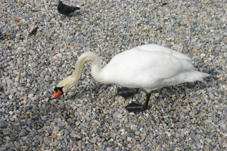 028-IMG_5549.JPG.medium.jpeg