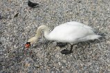 028-IMG_5549.JPG.small.jpeg