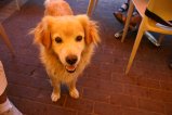025-IMG_5646.JPG.small.jpeg