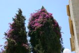079-IMG_5723.JPG.small.jpeg