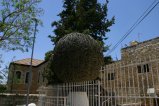 085-IMG_5729.JPG.small.jpeg