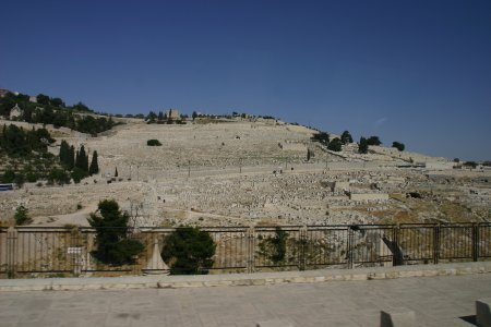 109-IMG_5762_e.JPG.medium.jpeg