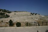 109-IMG_5762_e.JPG.small.jpeg