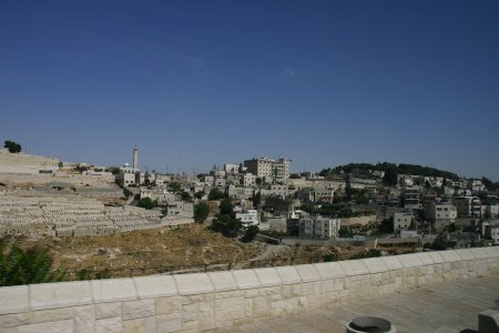 110-IMG_5763.JPG.medium.jpeg