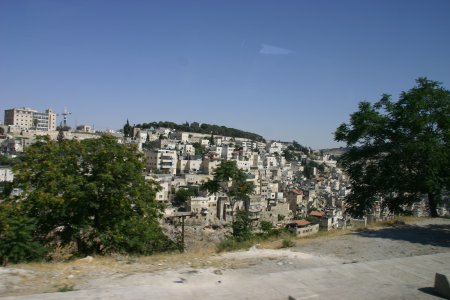 111-IMG_5764.JPG.medium.jpeg