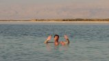 127-IMG_5783_e.JPG.small.jpeg