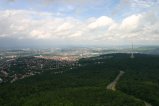 026-IMG_5946.JPG.small.jpeg
