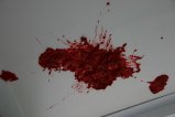 010-IMG_6017.JPG.small.jpeg