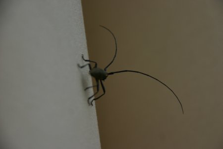 020-IMG_6046.JPG.medium.jpeg