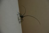 020-IMG_6046.JPG.small.jpeg