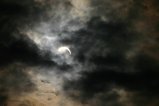 024-IMG_6101.JPG.small.jpeg