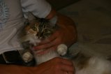 033-IMG_7693.JPG.small.jpeg