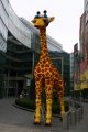 011-IMG_0935_e.JPG.small.jpeg