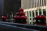 000-IMG_0956.JPG.small.jpeg