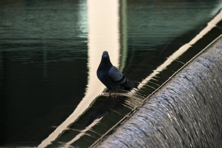 001-IMG_0958.JPG.medium.jpeg