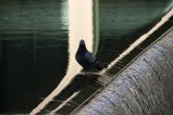 001-IMG_0958.JPG.small.jpeg