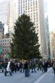 003-IMG_0963_e.JPG.small.jpeg