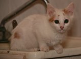 006-IMG_0014_e.JPG.small.jpeg