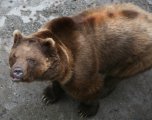 028-IMG_0186_e.JPG.small.jpeg