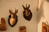 032-IMG_0199.JPG.small.jpeg