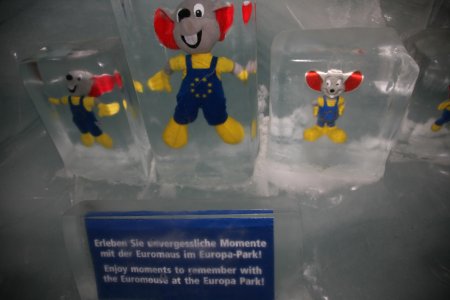 052-IMG_0237.JPG.medium.jpeg