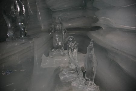 055-IMG_0246.JPG.medium.jpeg