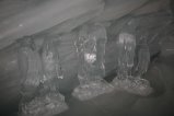 056-IMG_0248.JPG.small.jpeg