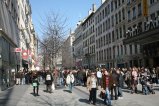 005-IMG_0308.JPG.small.jpeg