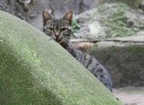 030-IMG_0361_e.JPG.small.jpeg