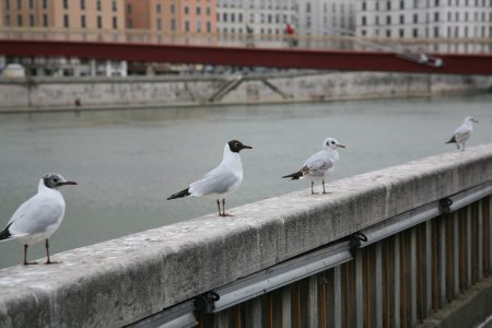033-IMG_0366.JPG.medium.jpeg
