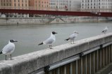 033-IMG_0366.JPG.small.jpeg