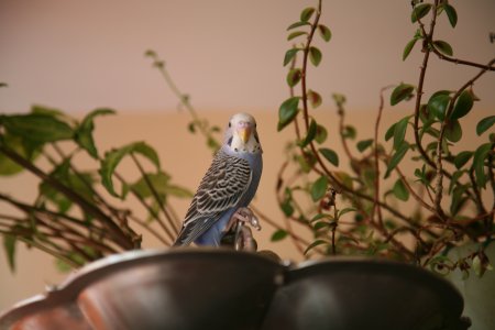 080-IMG_0539.JPG.medium.jpeg