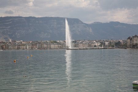 003-IMG_0555.JPG.medium.jpeg