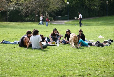006-IMG_0559_e.JPG.medium.jpeg