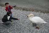 010-IMG_0567.JPG.small.jpeg