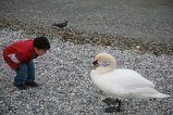 011-IMG_0568.JPG.small.jpeg