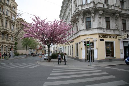 075-IMG_0687.JPG.medium.jpeg