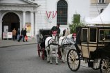 095-IMG_0716.JPG.small.jpeg