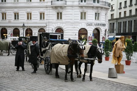 098-IMG_0719.JPG.medium.jpeg