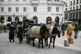 098-IMG_0719.JPG.small.jpeg