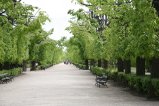 119-IMG_0753.JPG.small.jpeg