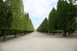122-IMG_0759.JPG.small.jpeg