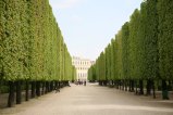 123-IMG_0760.JPG.small.jpeg