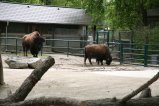 124-IMG_0761.JPG.small.jpeg