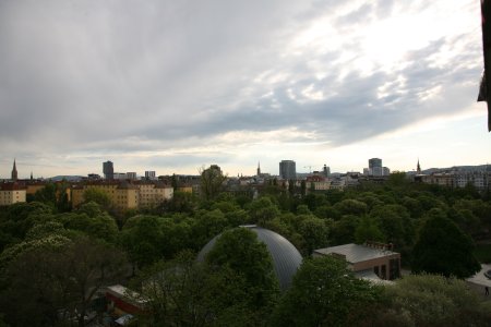 143-IMG_0786.JPG.medium.jpeg