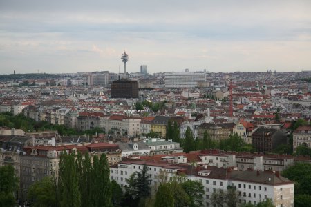 145-IMG_0789.JPG.medium.jpeg