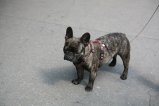 002-IMG_0816.JPG.small.jpeg