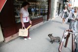 003-IMG_0817.JPG.small.jpeg