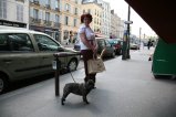 004-IMG_0818.JPG.small.jpeg