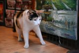 018-IMG_0836.JPG.small.jpeg